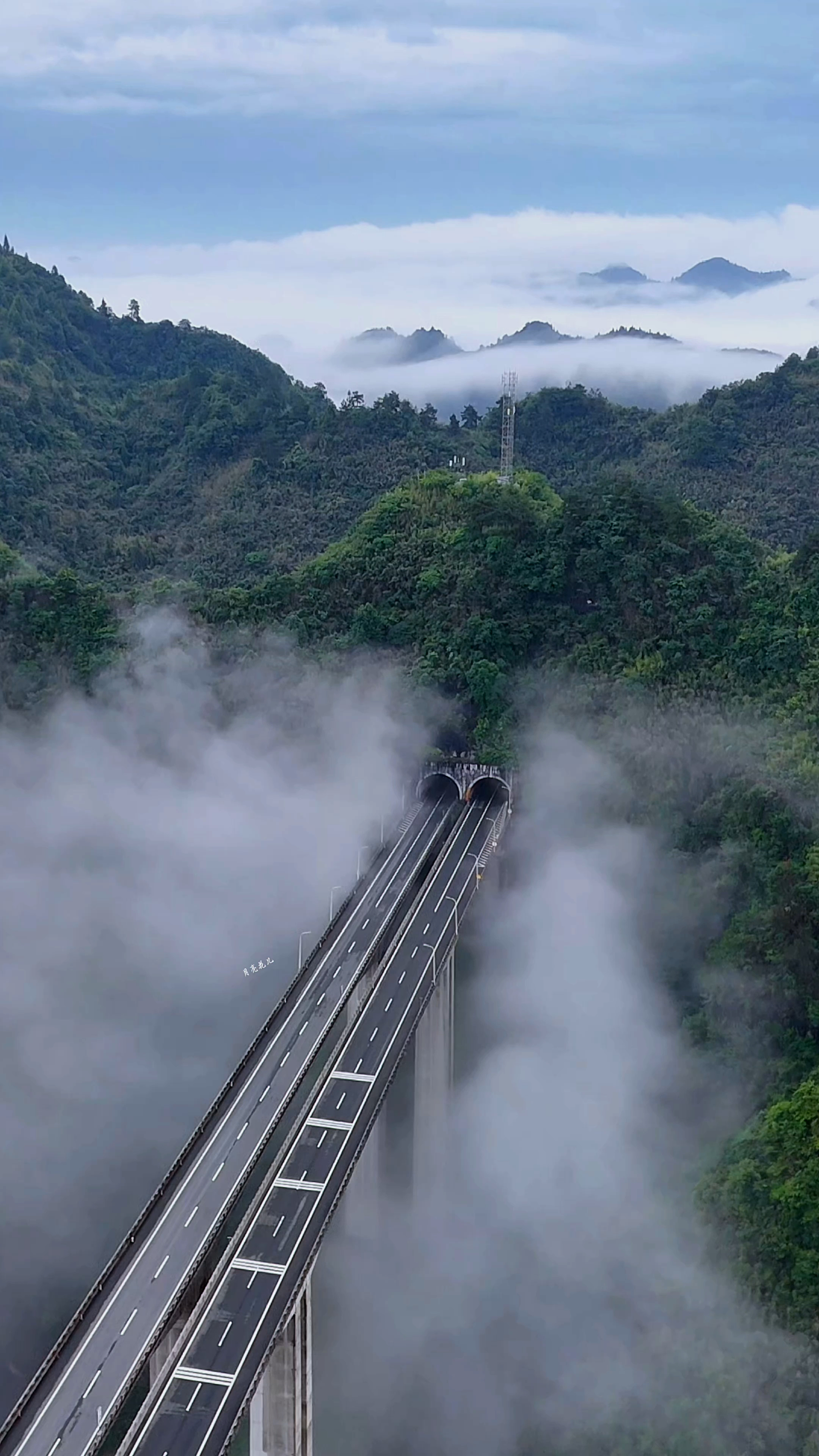 手机版智慧桥下载(智慧桥游戏叫什么名字)