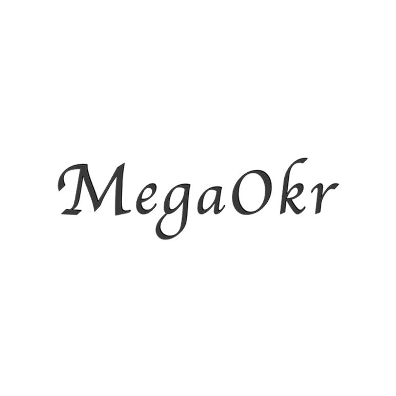 手机版mega怎么注册(MeGA官方手机版下载安装)