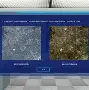 测地通手机版7.0(rtk手簿app手机版)-第4张图片-SafeW