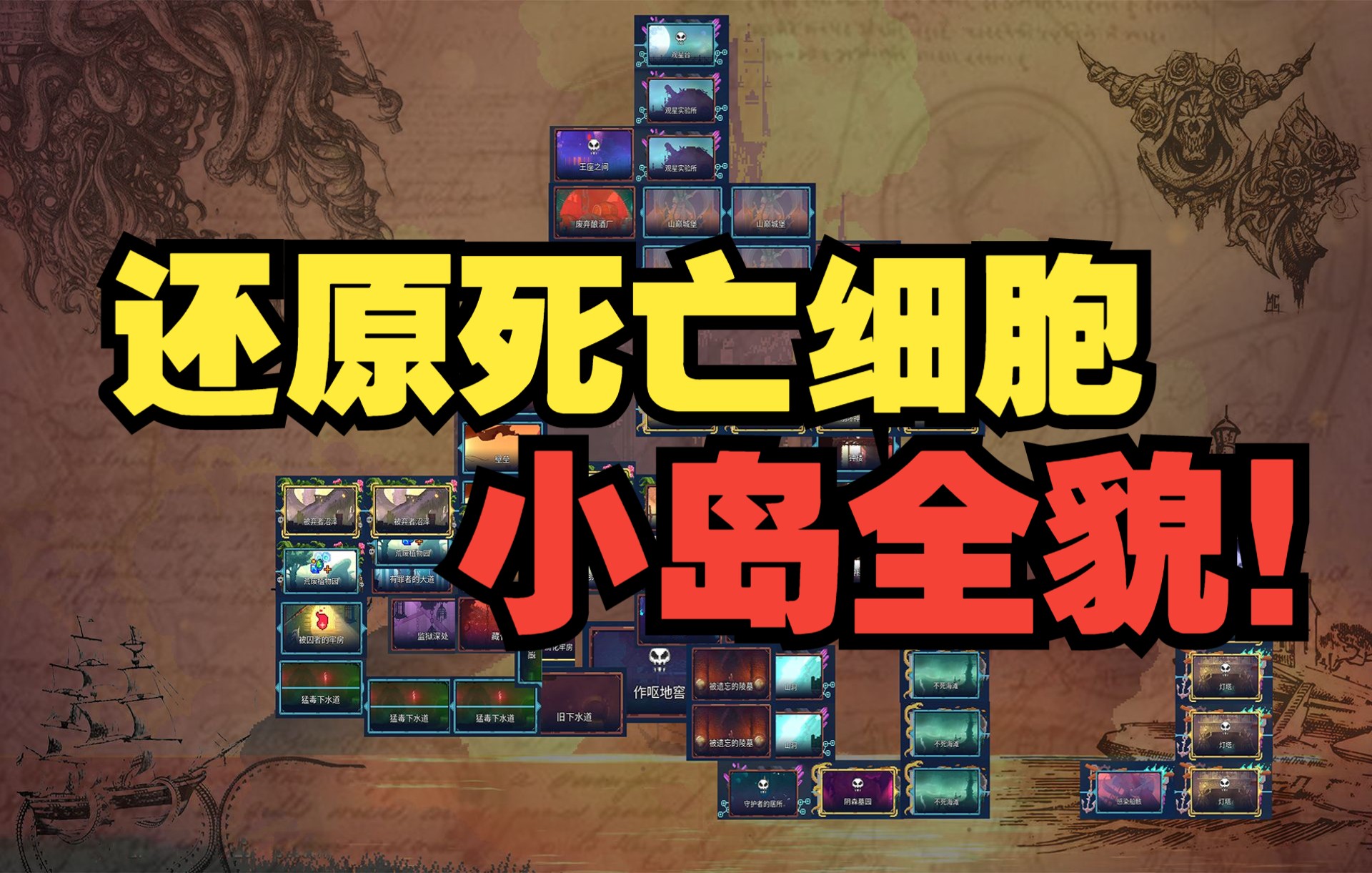 手机版死亡细胞地区名(死亡细胞手机免费安装包)-第5张图片-SafeW