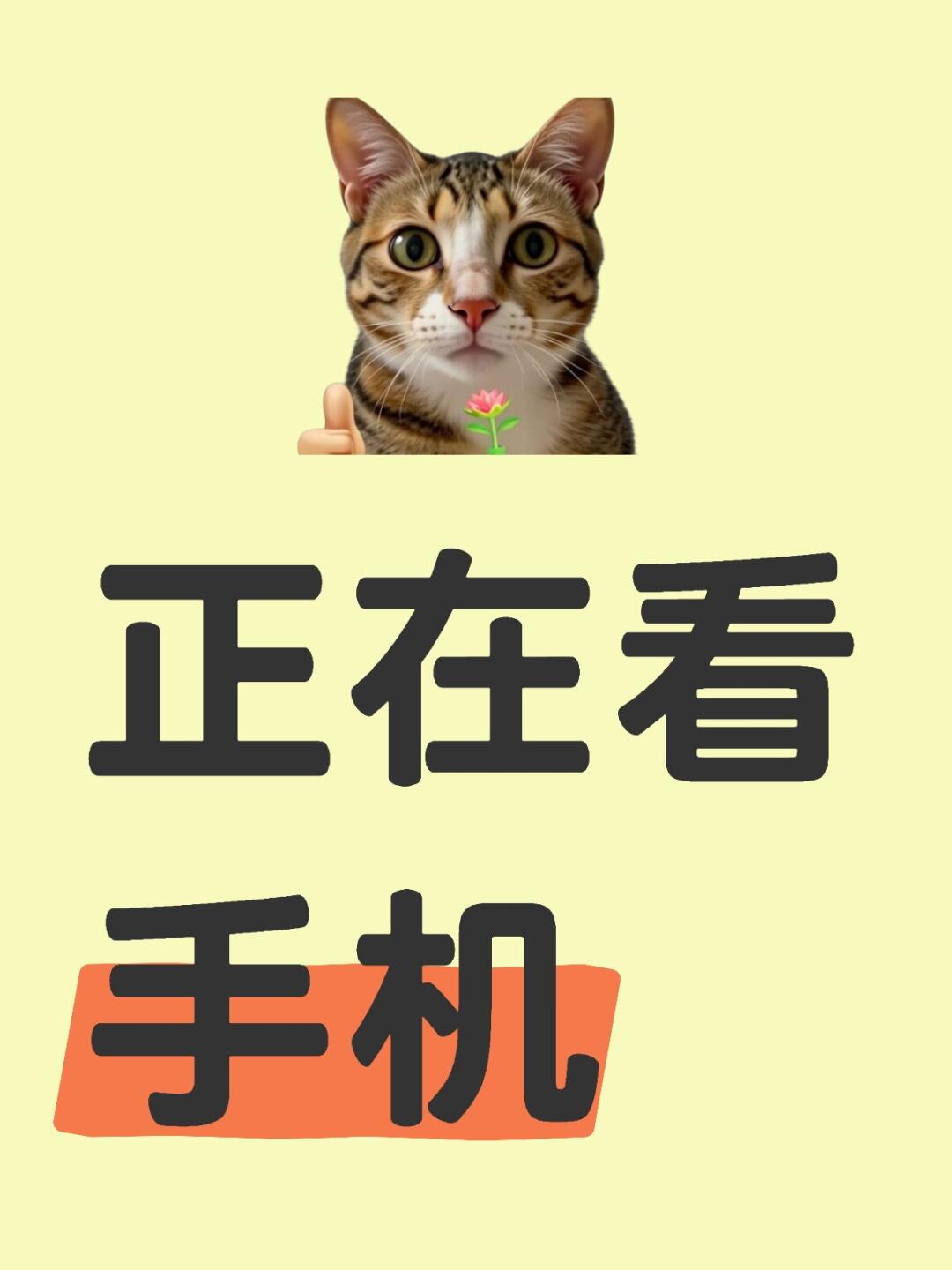 用来看电子书安卓手机版(用来看电子书安卓手机版的app)-第2张图片-QuickQ官网 用来看电子书安卓手机版(用来看电子书安卓手机版的app)-第2张图片-QuickQ官网