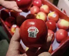 下载豆荚苹果版(下载豆荚苹果版app)-第5张图片-QuickQ官网