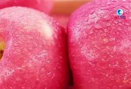 iseeker苹果版(quickrun下载苹果版)