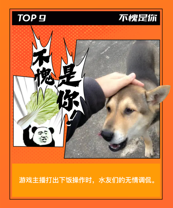 斗鱼弹幕伴侣手机版(斗鱼弹幕伴侣手机版下载)